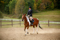 Equestrian Team Candid and Outdoor Jumping and walk images.